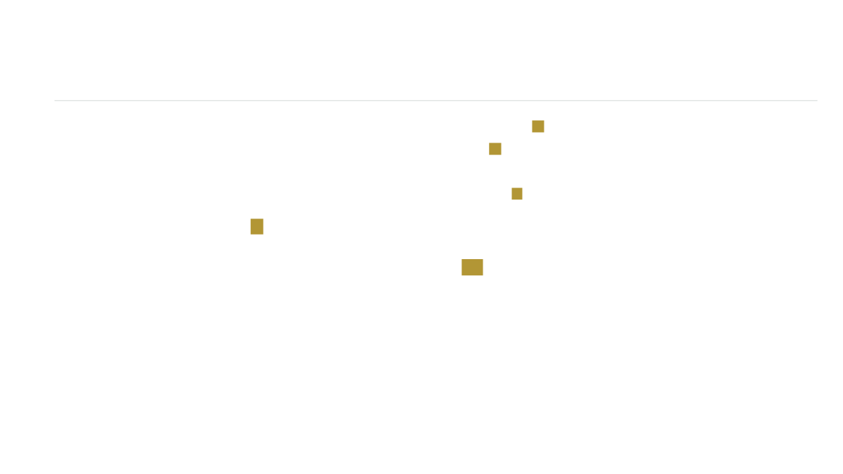 Stonehaven Student Housing logo